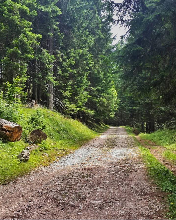 Apartmani Vila Zabljak Luaran gambar